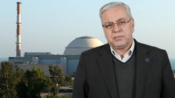 Der iranische Atomwissenschaftler Seyyed Mahmoud Reza Aghamiri vor dem iranischen Atomreaktor Bushehr.