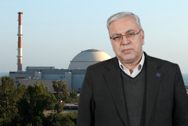 Der iranische Atomwissenschaftler Seyyed Mahmoud Reza Aghamiri vor dem iranischen Atomreaktor Bushehr.