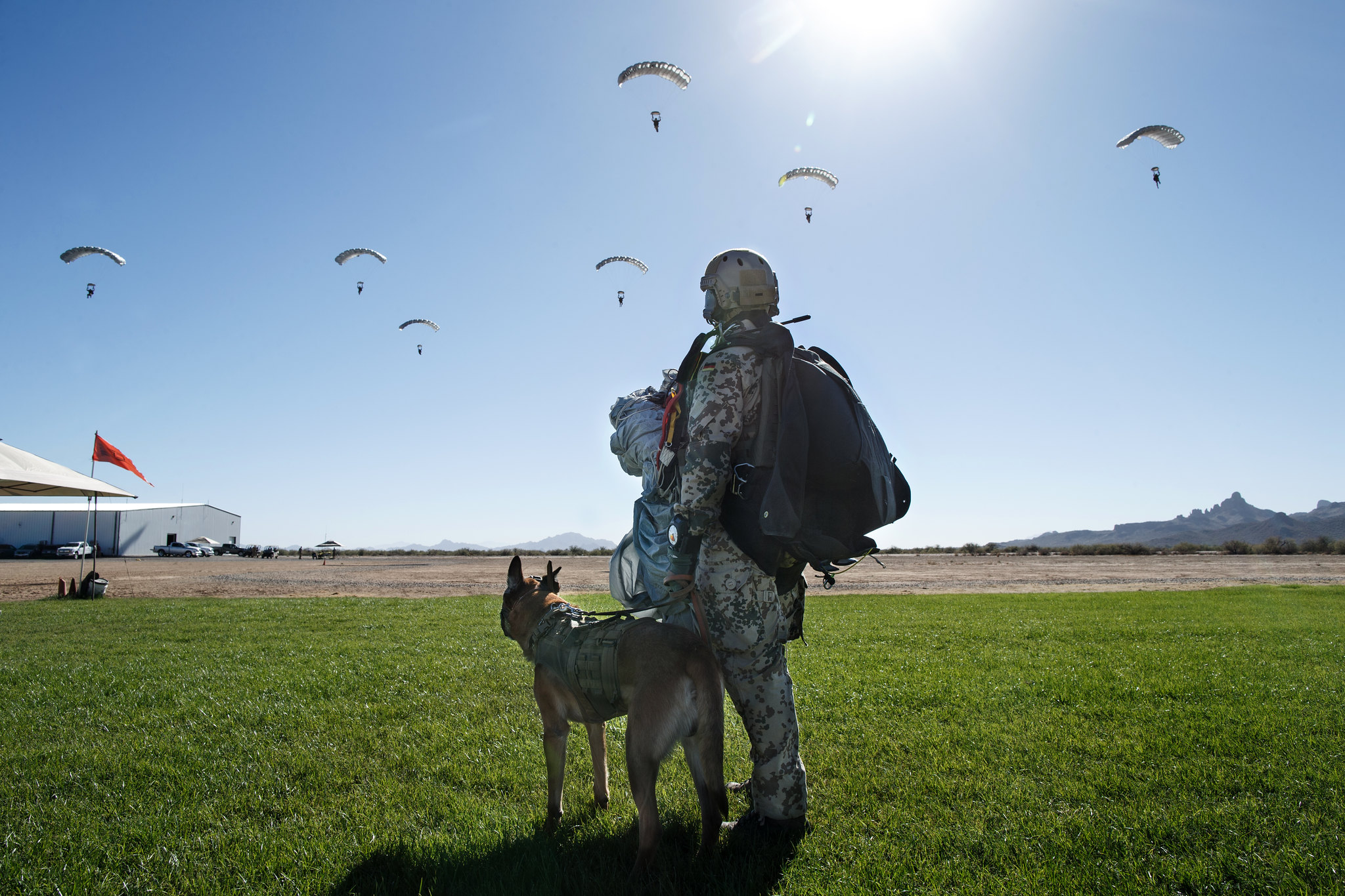 Ein Hundeführer vom Kommando Spezialkräfte (KSK) beobachtet mit seinem Zugriffsdiensthund Kameraden beim taktischen freien Fall.