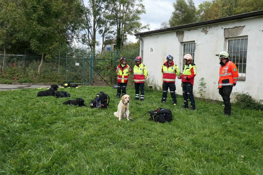 Die Rettungshunde waren eine große Unterstützung bei der Suche nach verletzten Personen.