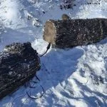 Russland tarnt seine Kommunikation mittlerweile in falschen Baumstämmen.