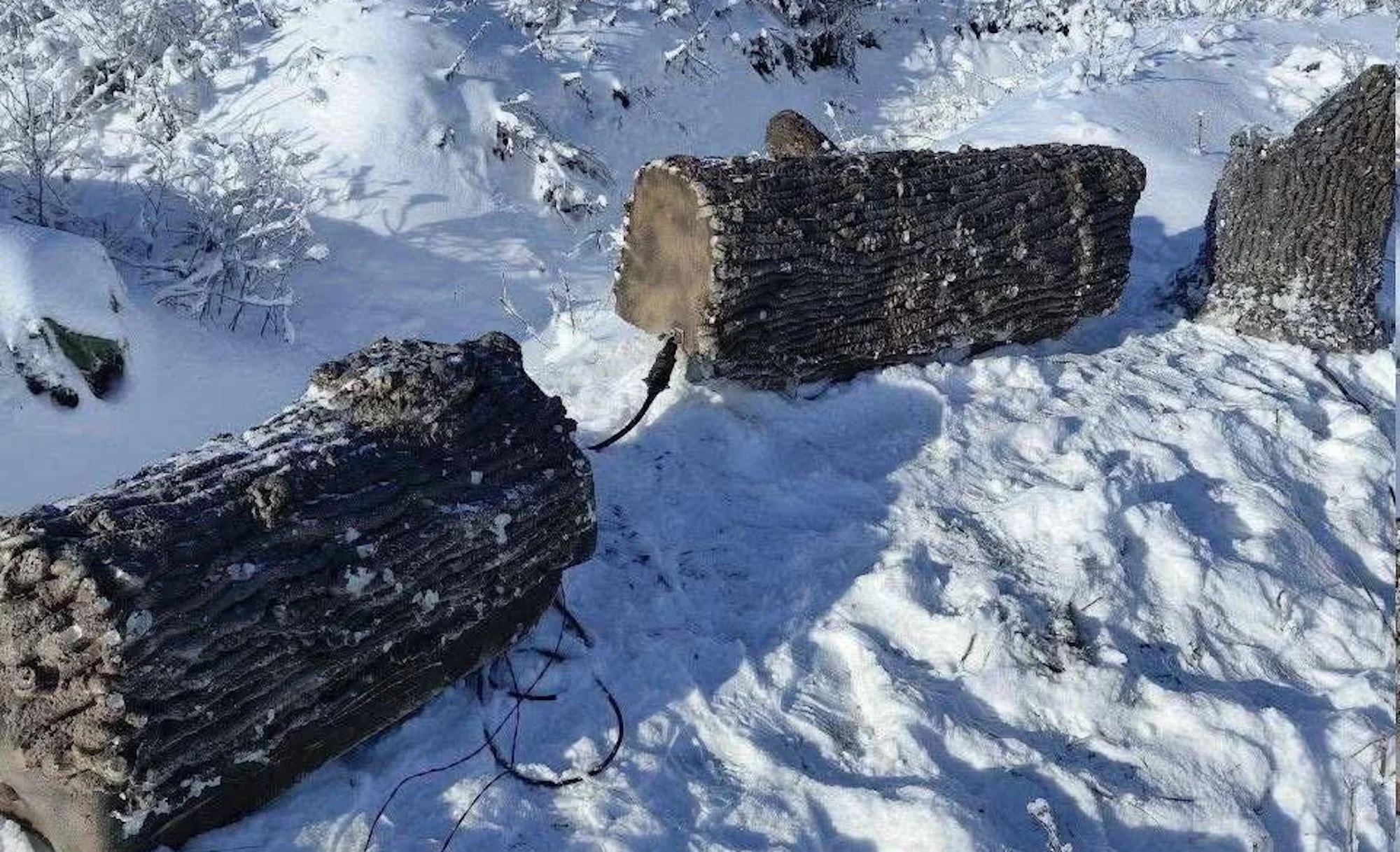 Russland tarnt seine Kommunikation mittlerweile in falschen Baumstämmen.