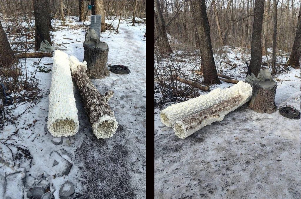 Diese Fotos zeigen die Baumattrappen in verschiedenen Fertigstellungsstadien.