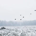 In einem Test bei München hat Auterion erstmals einen Schwarmangriff demonstriert.